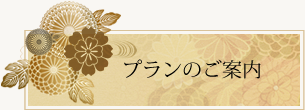 プランのご案内 | はんなり舞妓